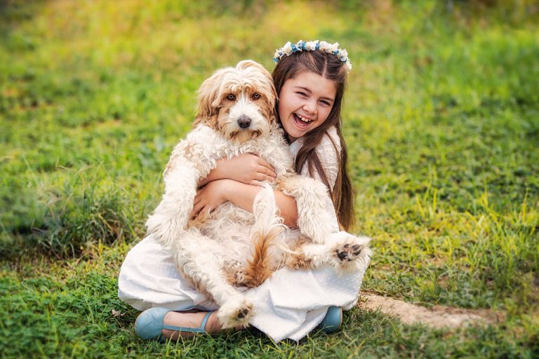 fotografia de perros en sevilla